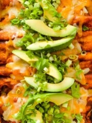 Cheesy chicken enchiladas with red sauce.